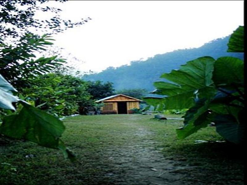 Elephant Brook Resort Rishīkesh Exterior foto